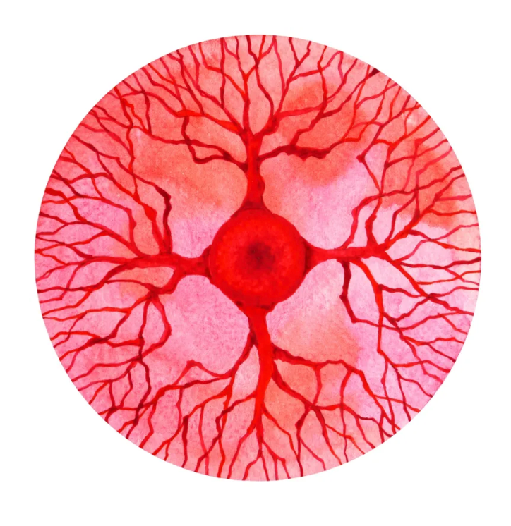 Root - 1